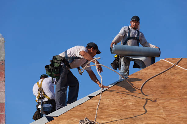Best Roof Gutter Cleaning  in Springdale, NJ